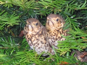 vakantie 2008 139