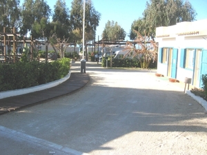 scarabeo22