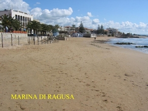 scarabeo26
