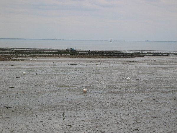 ile d'oleron 025