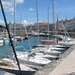 ile d'oleron 035