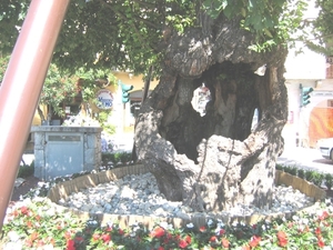 vakantie 2008 043
