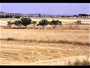 La Mancha