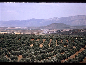 La Mancha