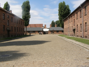 Auschwitz 043