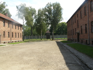 Auschwitz 044