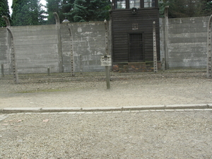 Auschwitz 060