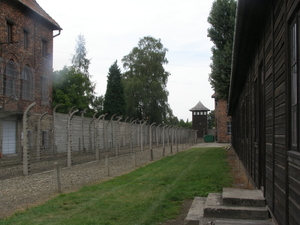 Auschwitz 061