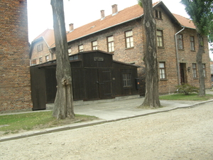 Auschwitz 064