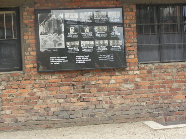 Auschwitz 067