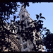 Catedral Santa Maria de la Sede  Sevilla