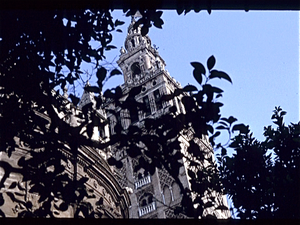 Catedral Santa Maria de la Sede  Sevilla