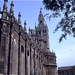 Catedral Santa Maria de la Sede  Sevilla