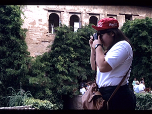 Alhambra  Granada