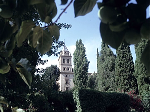 Alhambra  Granada