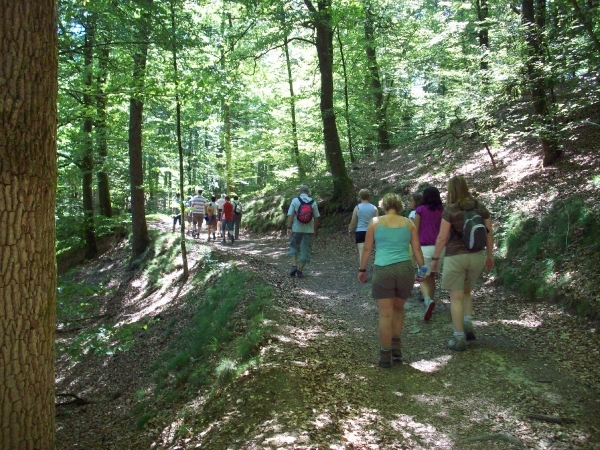 Pont de la Scierie zomer 2010