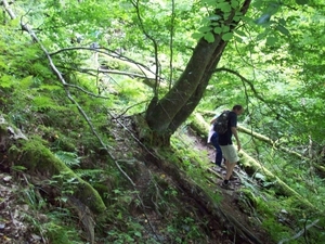 Conques aug (13)