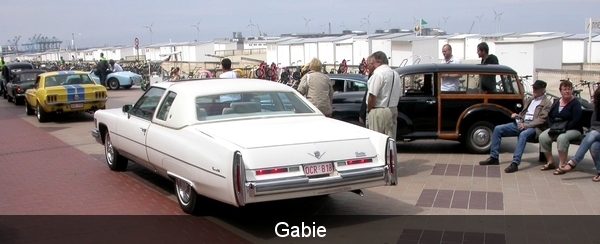 31_2010_07_25_Apen-Heist_Zeedijk_Cadillac_DSCN8874ocr818