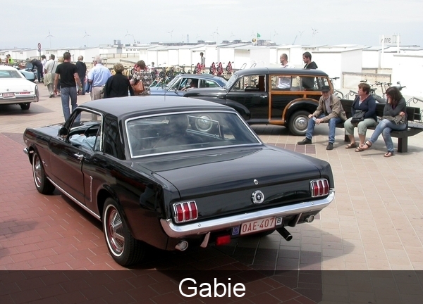 32_2010_07_25_Apen-Heist_Zeedijk_FordMustang_DSCN8876zwartOAE407