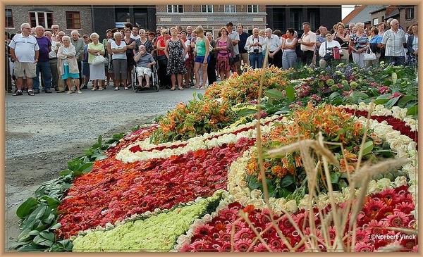 sized_sized_DSC22215a bloementapijt