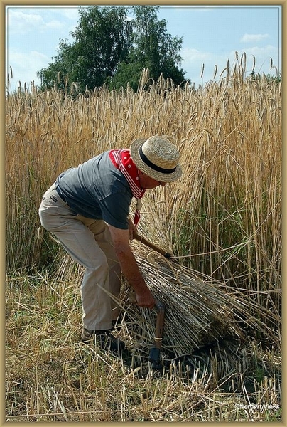 sized_sized_DSC22762a op het veld