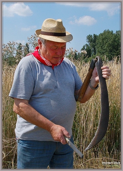 sized_sized_DSC22764a op het veld