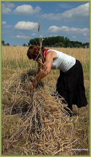 sized_sized_DSC22766a op het veld