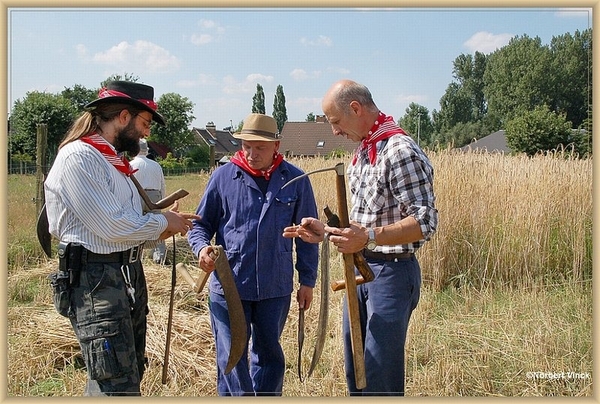 sized_sized_DSC22778a op het veld