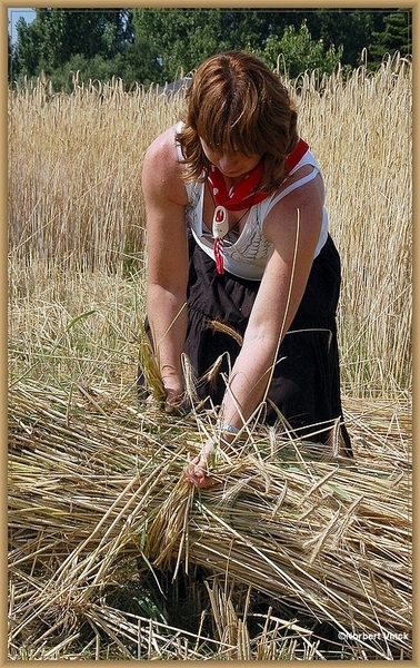 sized_sized_DSC22779a op het veld