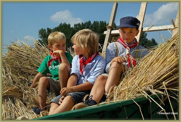 sized_sized_DSC22789a op het veld