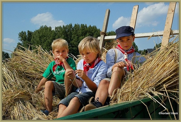 sized_sized_DSC22790a op het veld