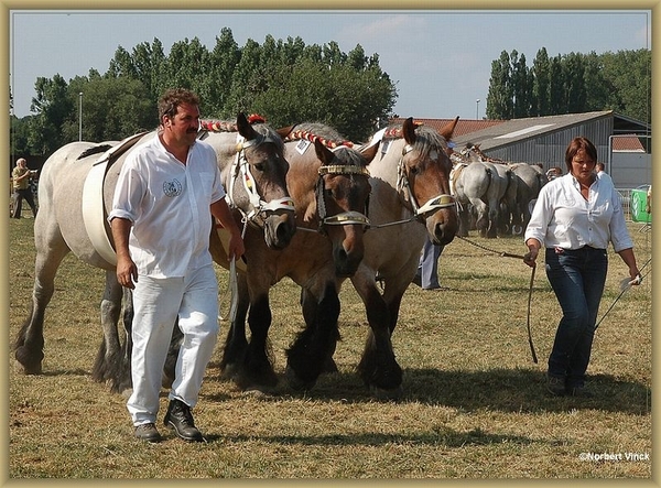 sized_sized_DSC22828a driespan