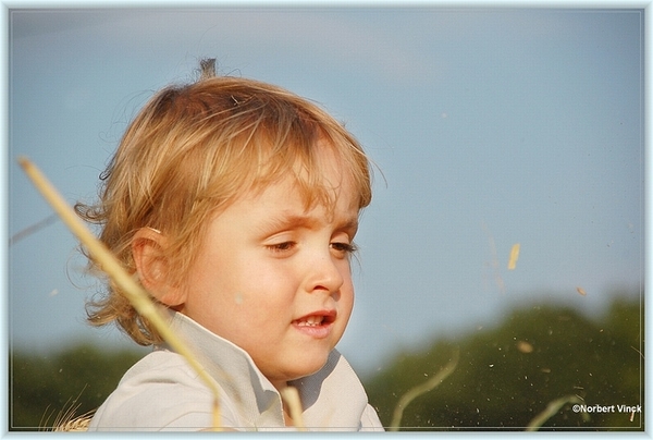 sized_sized_DSC22921a in't graan spelen