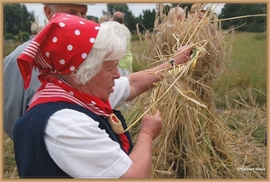 sized_sized_DSC22982a op het veld