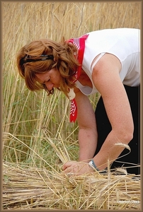 sized_sized_DSC22990a op het veld