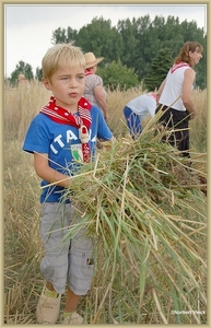 sized_sized_DSC23002a op het veld