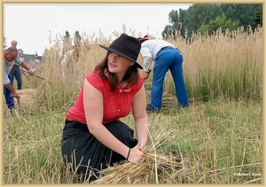 sized_sized_DSC23037a op het veld