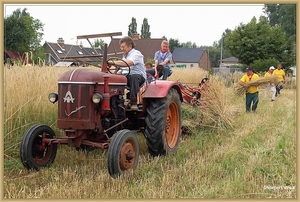 sized_sized_DSC23038a op het veld