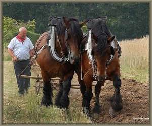 sized_sized_DSC23078a en de boer -hij loegde