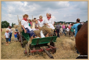 sized_sized_DSC23128a terug naar hoeve