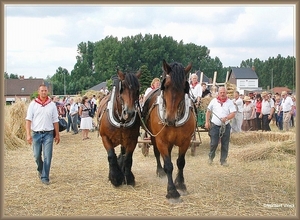 sized_sized_DSC23129a terug naar hoeve