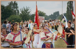 sized_sized_DSC23133a terug naar feestwijde