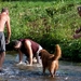 11072010-IMG_1524