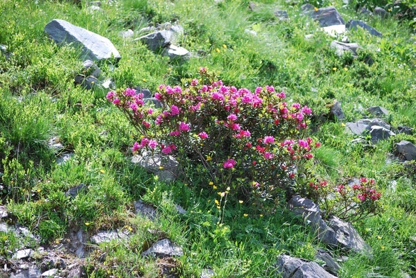 2010-07-14 D7 Val Thorens (104)