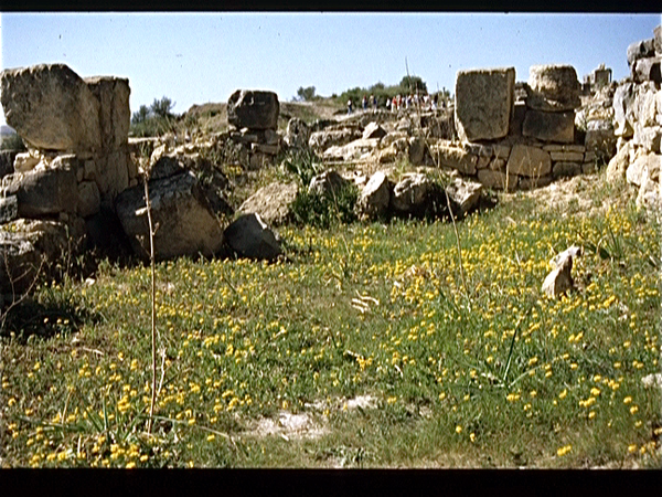 Volubilis  Marokko