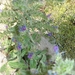 DSC01885