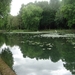 DSC02106