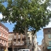 DSC01852
