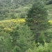 DSC01886