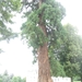 DSC02109